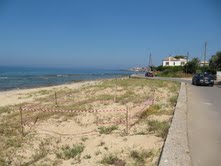 Zeeschildpadnest